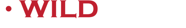 Logo of Wildcard Corp